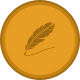 digifysolutions